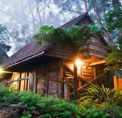 Binna Burra Mountain Lodge - Broome Tourism 2