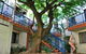 Sleeping Inn Backpackers Resort - thumb 0