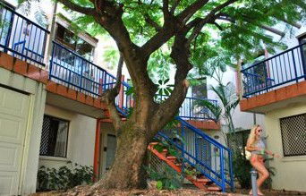 Sleeping Inn Backpackers Resort - Broome Tourism 0