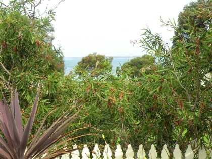 Seashells Apartment - Unit 1 - Broome Tourism 4