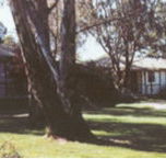 Winbi River Resort - Broome Tourism