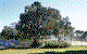 Coolwaters Holiday Village - thumb 5