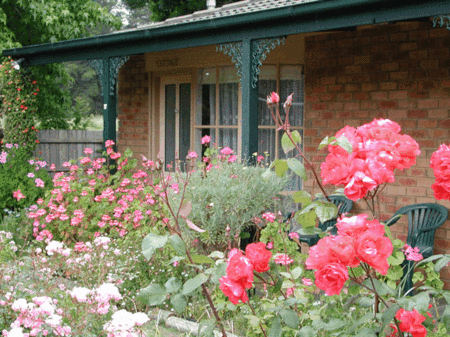 Balnarring Village Motor Inn - Broome Tourism 5