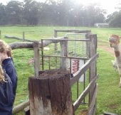 Boronia Farm Farmstay - Broome Tourism