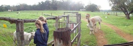 Boronia Farm Farmstay - Broome Tourism 0
