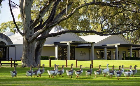 Serafino McLaren Vale - Broome Tourism 0