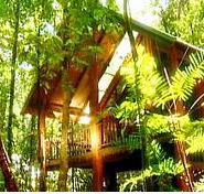 The Canopy Treehouses - Broome Tourism