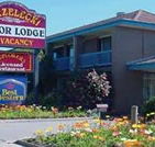 Strzelecki Motor Lodge - Broome Tourism