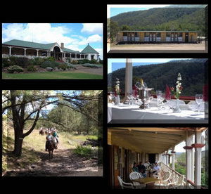 Bestbrook Mountain Resort - Broome Tourism 1