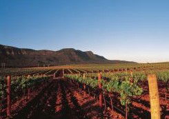Peppers Guest House Hunter Valley - Broome Tourism 2