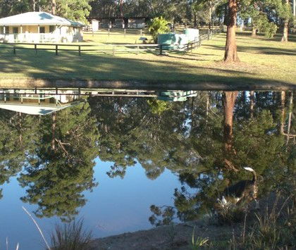 Neds Bed Horse O Tel - Broome Tourism 4