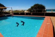 President Holiday Apartments - Broome Tourism 3
