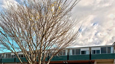St Helens Bayside Inn - Broome Tourism 1