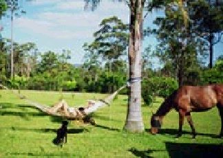 Neds Bed Horse O Tel - Broome Tourism 0