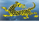 Dragon Phoenix Motel & Restuarant - Broome Tourism 0