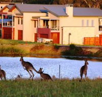 Grand Mercure The Vintage Hunter Valley - Broome Tourism