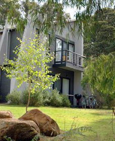 Margarets Forest - Broome Tourism 0