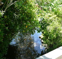 Mole Creek Hotel - Broome Tourism