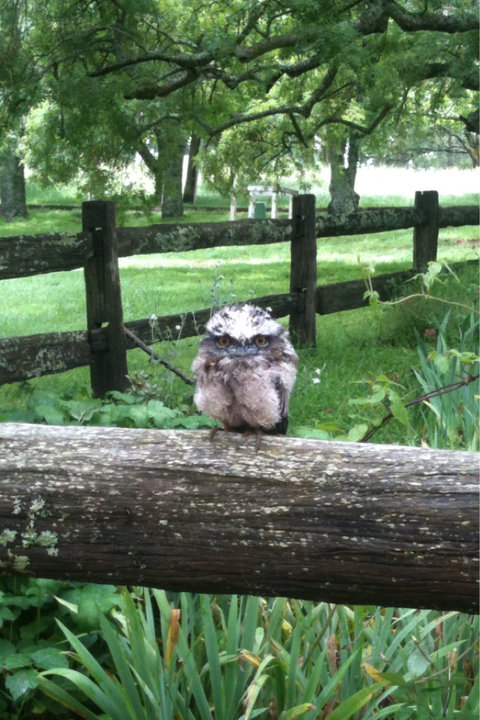 Milton Park - Broome Tourism 0