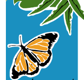 Wanderers Retreat - Broome Tourism