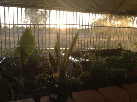 Cityside Accommodation | Mt Isa - Broome Tourism 5