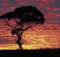 Kimba Caravan Park amp Motel - Broome Tourism