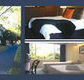 The Albany - Broome Tourism