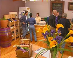 Settlers Ridge Organic Wines - Broome Tourism 0