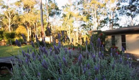 Wild Edge Retreat - Broome Tourism 2