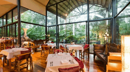Pethers Rainforest Retreat - Broome Tourism 1