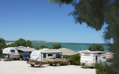 Blue Dolphin Caravan Park And Holiday Village - Broome Tourism 0