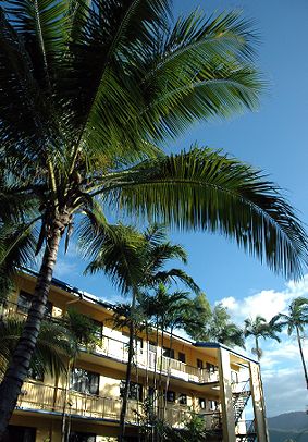 Palms At Trinity - Broome Tourism 3