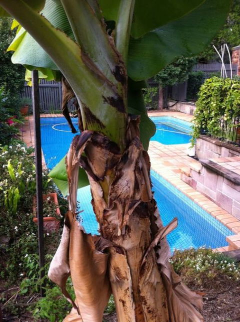 Bardon B&B - Broome Tourism 5