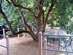 Magnolia House Marysville - Broome Tourism 0