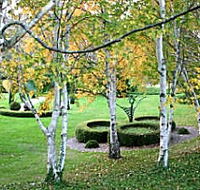 Villarett Gardens - Broome Tourism