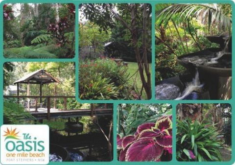 The Oasis At One Mile Beach - Broome Tourism 2