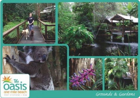 The Oasis At One Mile Beach - Broome Tourism 3