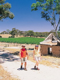 Brinkworth Country Lodge B&b - Broome Tourism 0