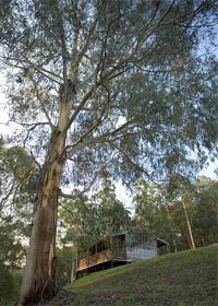 Ada VIC Broome Tourism