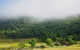 Tor Cottage At Anketell Forest - thumb 0
