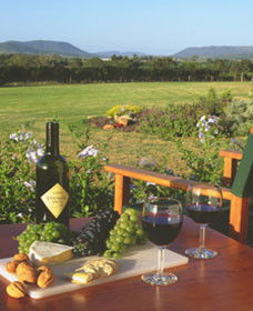 Tranquil Vale Vineyard Cottages - Broome Tourism 0