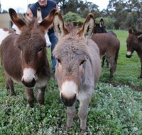 Donkey Tales Farm Cottages - Broome Tourism