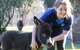Donkey Tales Farm Cottages - thumb 1
