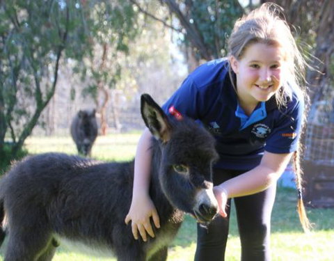 Donkey Tales Farm Cottages - Broome Tourism 1