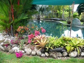 Daintree Wild Bed And Breakfast - Broome Tourism 0