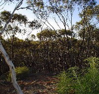 Lions Dryandra Woodlands Village - Broome Tourism