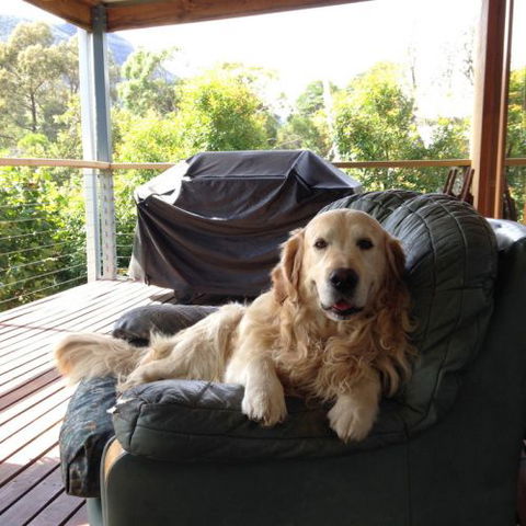 Ant's Halls Gap Holiday House - Broome Tourism 7