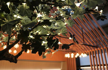 Ovolo Woolloomooloo - Broome Tourism 25