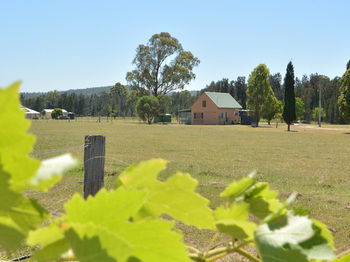 Madigan Wine Country Cottages - Broome Tourism 94