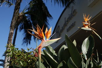Beachside Resort - Kawana Waters - Broome Tourism 4